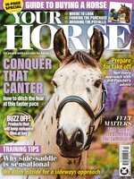 Your Horse